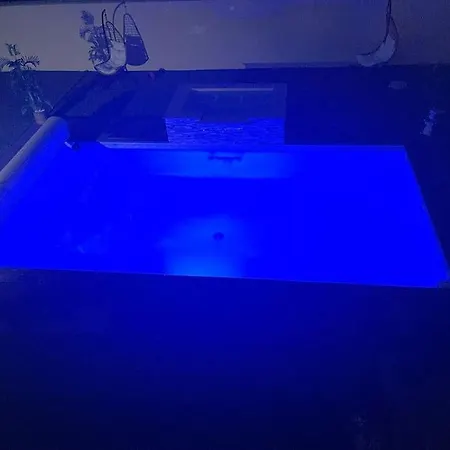 Magnifique Avec Piscine